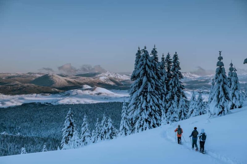Durmitor National Park: Snowshoe Tour Black & Zminje Lake - Logistics and Flexibility: Booking and Cancellation