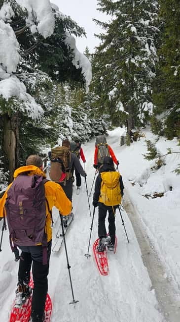 Durmitor National Park: Snowshoeing Hike to Base Camp - Traversing the Old Water Mill Trail Toward the Mountain Peaks