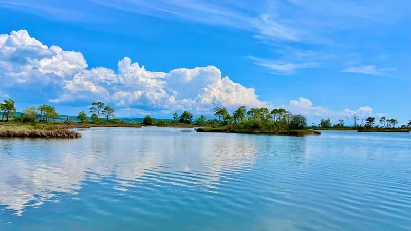 Durres & Karavasta National Park Tour on Luxury Land Rover - Flexibility and Booking Details