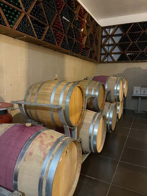 Durres & Wine Tasting Tour - Experience Level and Physical Requirements