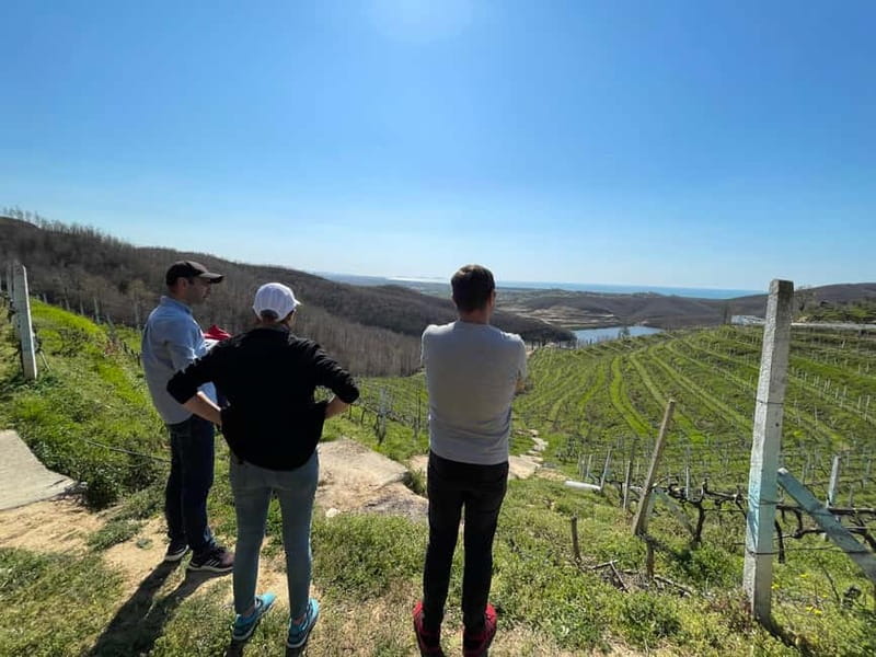 Durres & Wine Tasting Tour - Comparing Durres & Wine Tasting to Similar Experiences