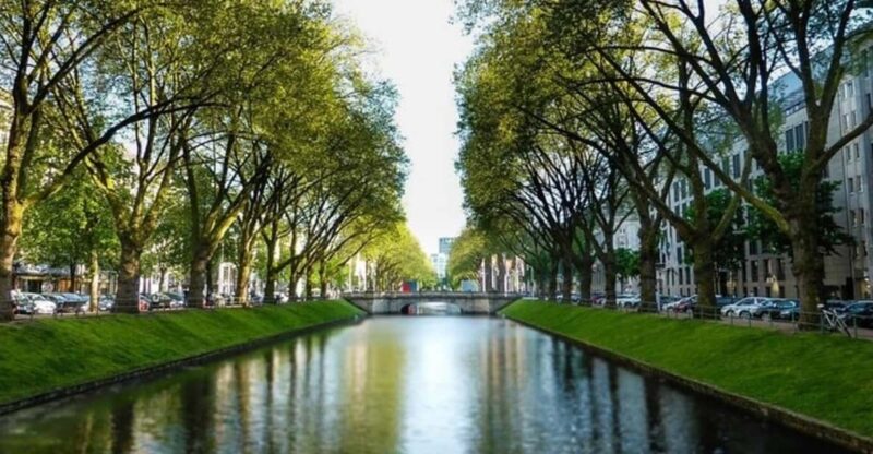 Dusseldorf : Highlights Walking tour with A Guide - Flexibility and Personalization of the Tour