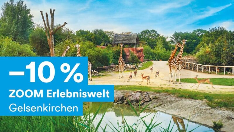 DüsseldorfCard Plus - Access to Over 90 Sights and Cultural Offers