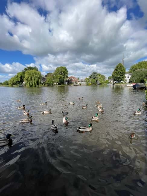 Dutch Countryside: , windmills, Villages, Cheese & Clogs - The Unique Appeal of This Dutch Countryside Tour