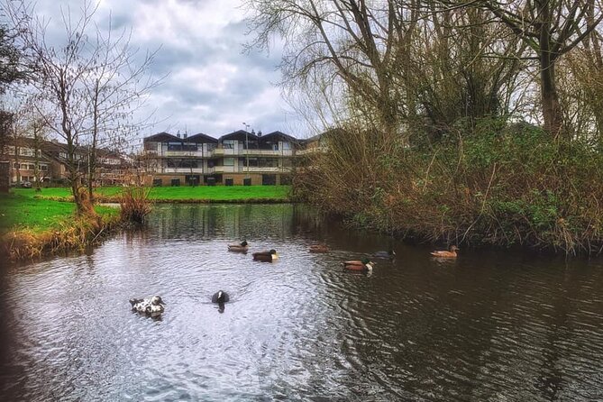 Dutch Windmills & Polder Walking Tour - Key Points