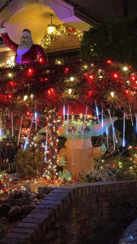 Dyker Heights Christmas Lights Bus Tour - Practical Details and Tour Logistics