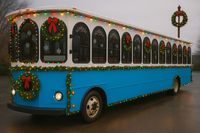 Dyker Lights Christmas Trolley Experience - Practical Details and Limitations