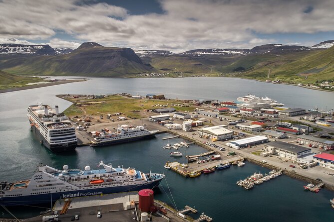 Dynjandi Waterfall & Iceland Farm Visit Tour - The Guide and Overall Experience