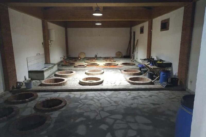 Dzegvi/Tbilisi: Winery Tour with Wine Tasting and Lunch - Exploring the Family-Run Winilia Winery Near Tbilisi