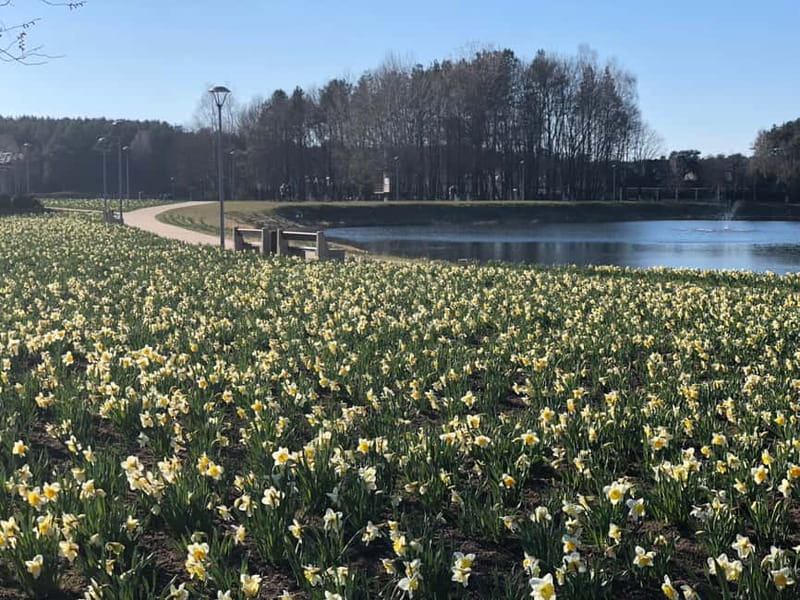 Dzukija National Park and Grutas Park: Full-Day Tour - Visiting Grutas Park’s Soviet Sculptures