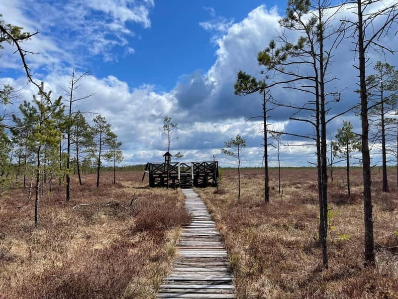 Dzukija National Park and Grutas Park: Full-Day Tour - The Practicalities: Guides, Transportation, and Group Size