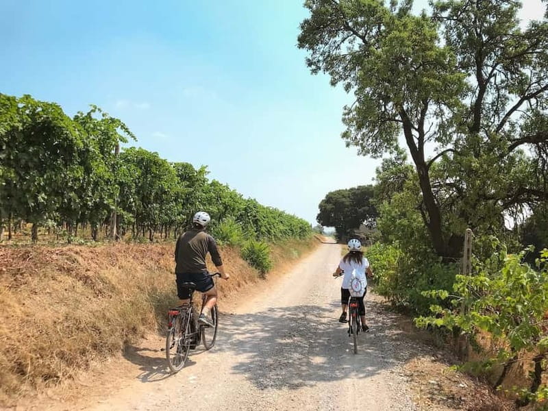 E-bike adventure among villages and medieval castles - Key Points