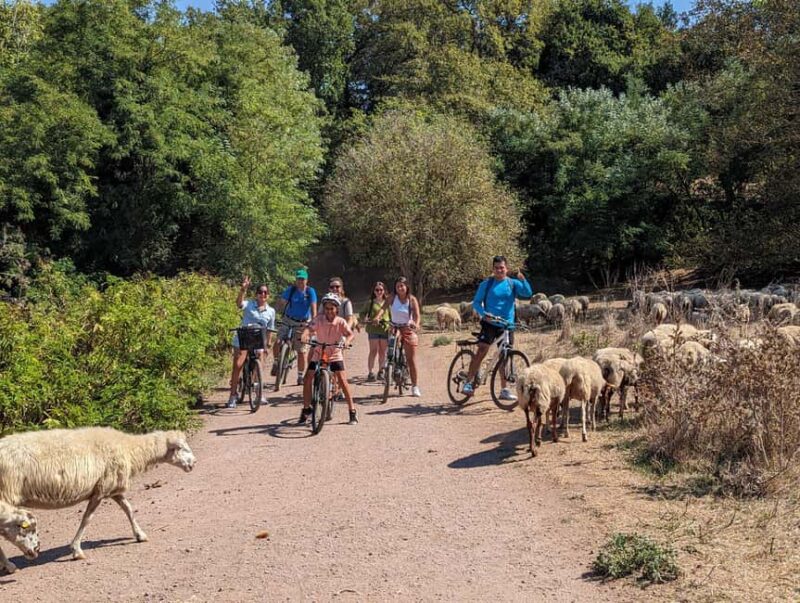 E-Bike Appian Way: Aqueducts & Cecilia Metella Mausoleum VR - The Scenic Beauty of Roman Countryside Parks