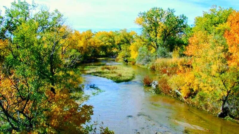 E-Bike & Brews: Denver's Platte River & Brewery E-Bike Tour - Starting Point at Raices Brewing Company