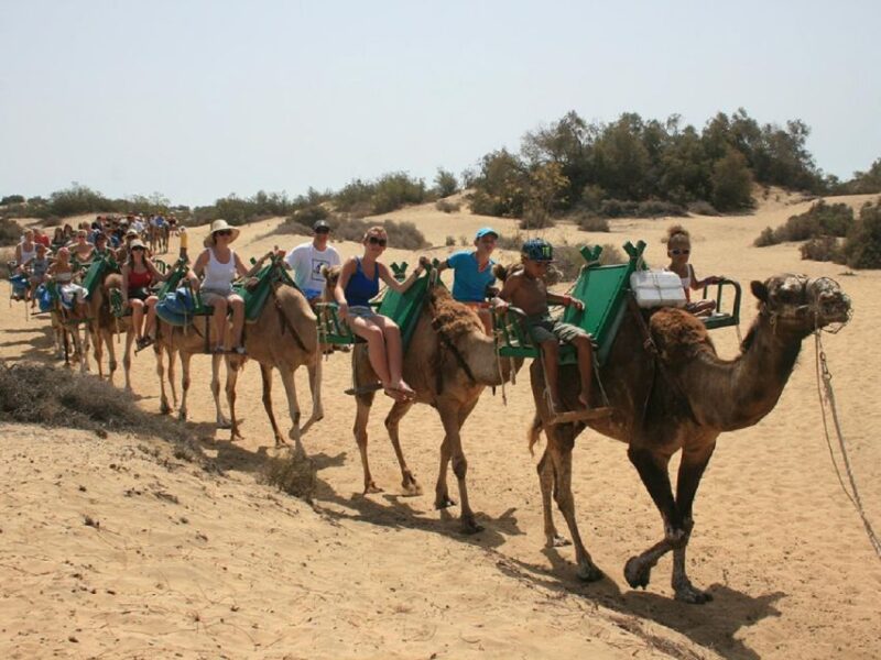E-Bike City Tour included Camel Tour inside Maspalomas Dunes - The 30-Minute Camel Ride in the Dunes