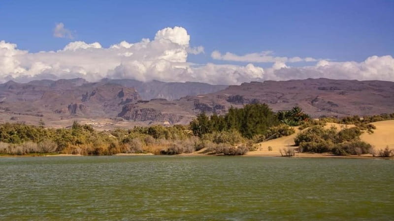 E-Bike CitySightseeing: Maspalomas, Playa Ingles, Meloneras - Riding Along Meloneras Promenade and Seaside Views