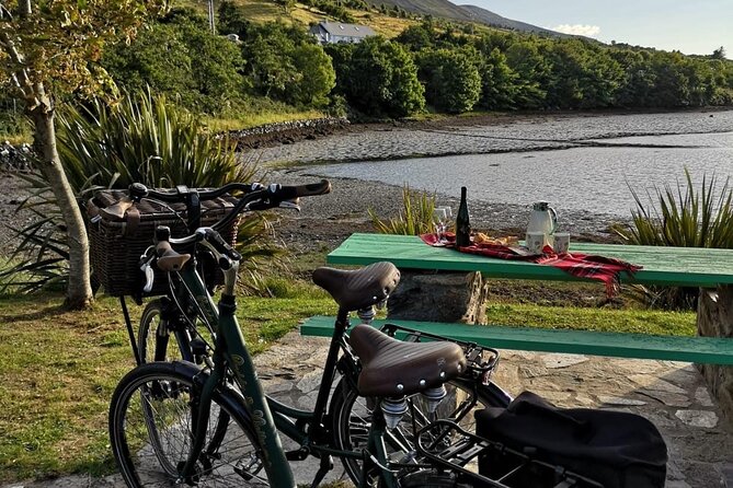 E-Bike Cycle - Western Greenway - Westport To Achill Island - Who Will Appreciate This Tour Most?
