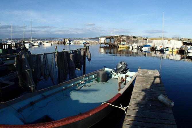 E-bike day rental to discover Sète and its surroundings - Key Points