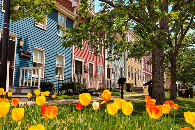 E-Bike Day Tour From Cavendish to Rustico - Key Points