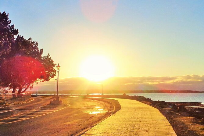E-Bike Day Tour From Cavendish to Rustico - Starting Point at Cavendish Grove in PEI National Park