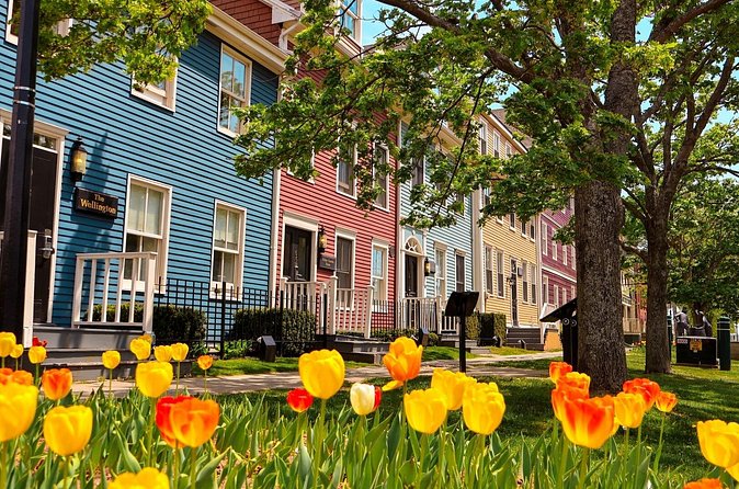 E-Bike Day Tour From Cavendish to Rustico - Weather Considerations and Cancellation Policy