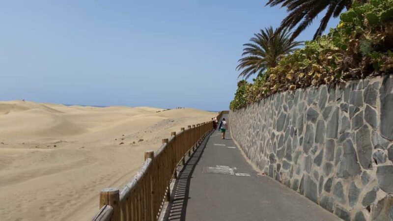 E-Bike Family: CitySightseeing Maspalomas Dunes,Playa Ingles - Scenic Views from Mirador Playa del Ingles