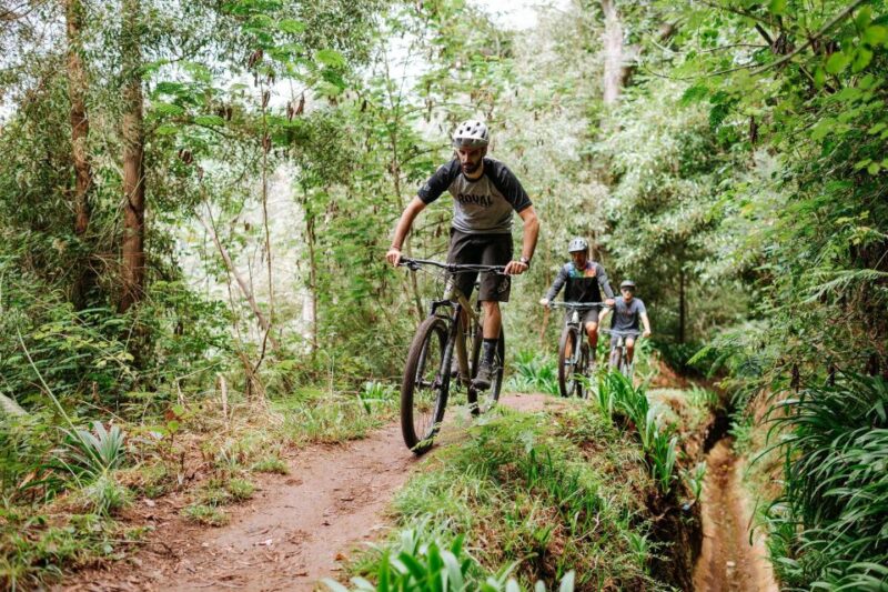 E-Bike Guided Tour - Belle Vue Mountain Biking - Key Points