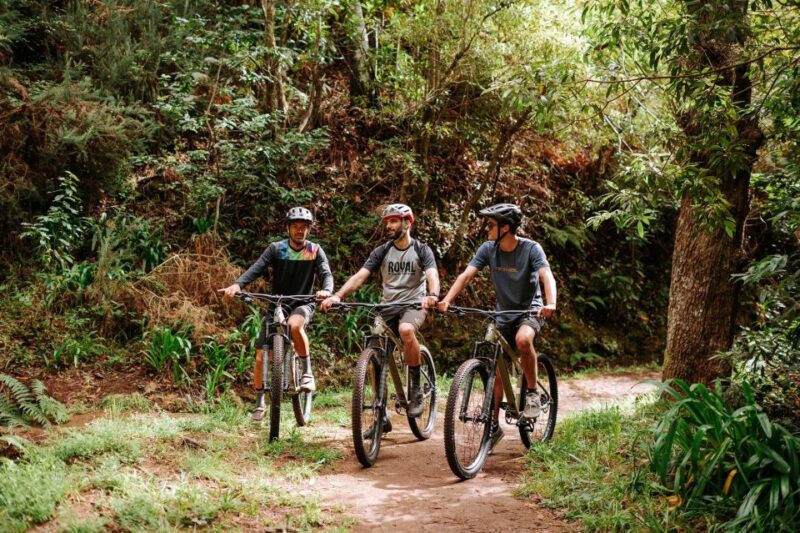 E-Bike Guided Tour - Mountain biking experience -  