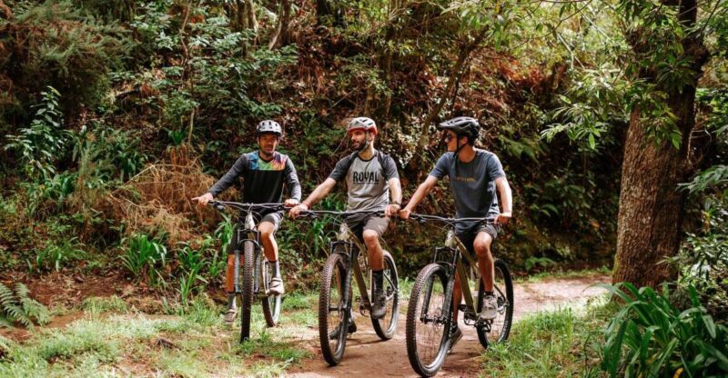 E-Bike Guided Tour - Mountain biking experience - Madeiras E-Bike Guided Tour: A Mountain Biking Experience for All Levels
