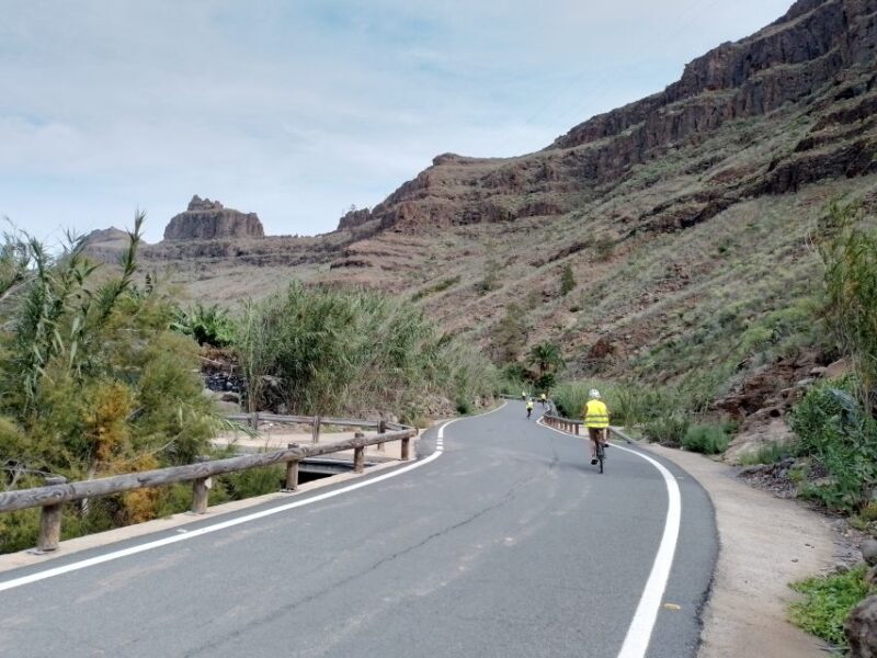 E-Bike Mountain Tour in Natural Park +Option Tapas in a Cave - Why This Tour Stands Out in Gran Canaria