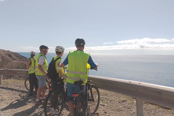 E-Bike Rental 80 km Battery life: Gran Canaria Mountains or Coast - Discovering Native Plants at Maspalomas Botanical Park