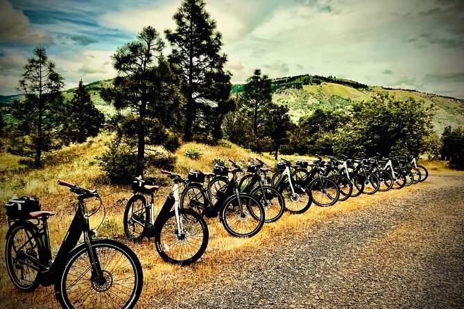 E Bike Rental in Hood River - Orchards and Mountain Views Along the Route