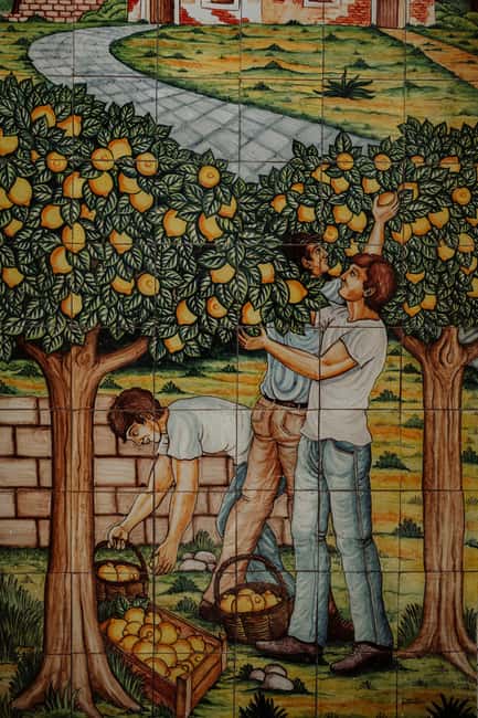 E-bike ride and tasting - Key Points