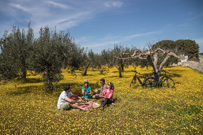 E-bike ring tour between Locorotondo and Martina Franca - Key Points