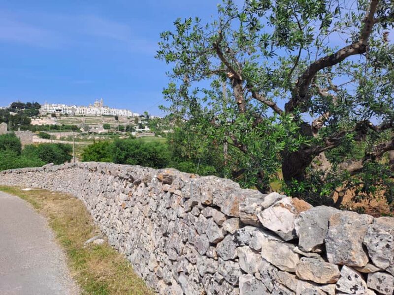 e-Bike ring tour between Martina Franca and Locorotondo - Riding to the Heart of Apulia’s Countryside