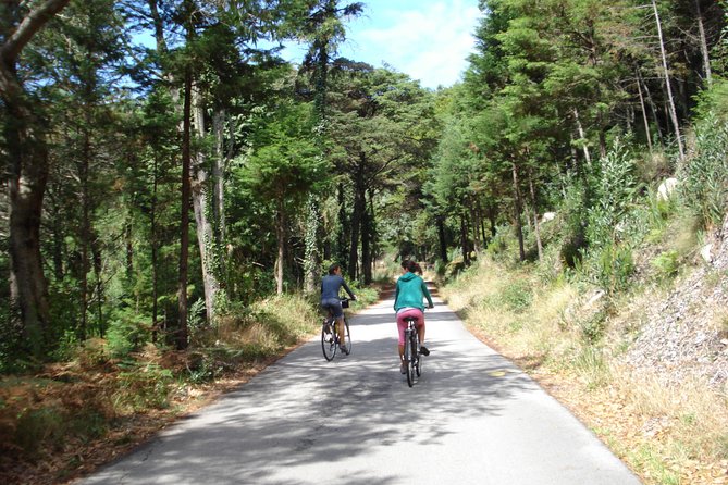 E-Bike Self-Guided Sintra - Cascais (Private Tour from Lisbon) - Customizable Routes for Varying Abilities