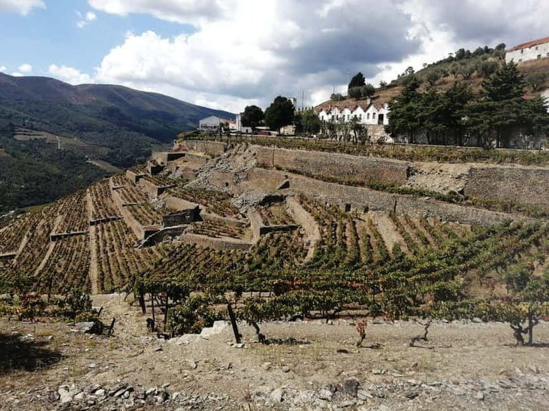 e-Bike Through Douro Valley Wine Region for Half Day Tour - Explore Douro Valley by E-Bike in Just Three Hours