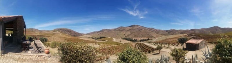 e-Bike Through Douro Valley Wine Region for Half Day Tour - Discover the UNESCO Heritage Landscape of Douro Valley