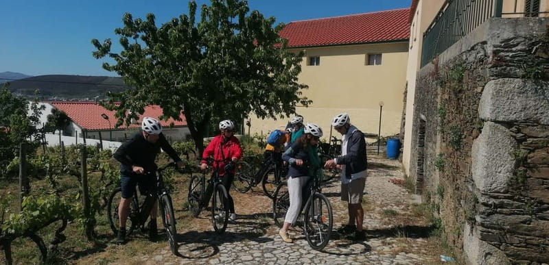 e-Bike Through Douro Valley Wine Region for Half Day Tour - The Ride Options: From Flat to Moderate Trails