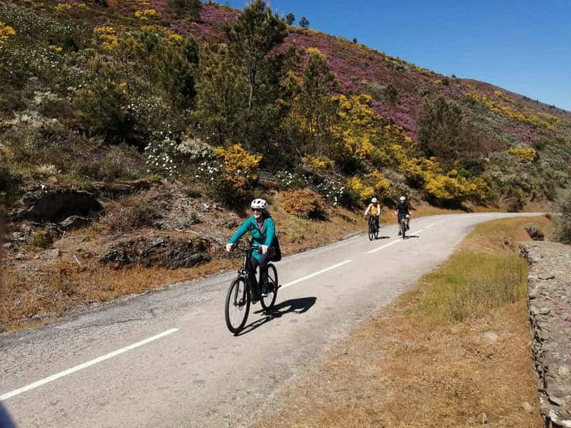 e-Bike Through Douro Valley Wine Region for Half Day Tour - Highlights of the Douro Valley Landscape