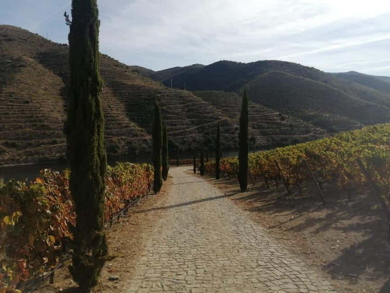 e-Bike Through Douro Valley Wine Region for Half Day Tour - Logistics and Meeting Point Details