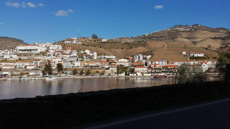 e-Bike Through Douro Valley Wine Region for Half Day Tour - Who Will Enjoy This Tour Most?