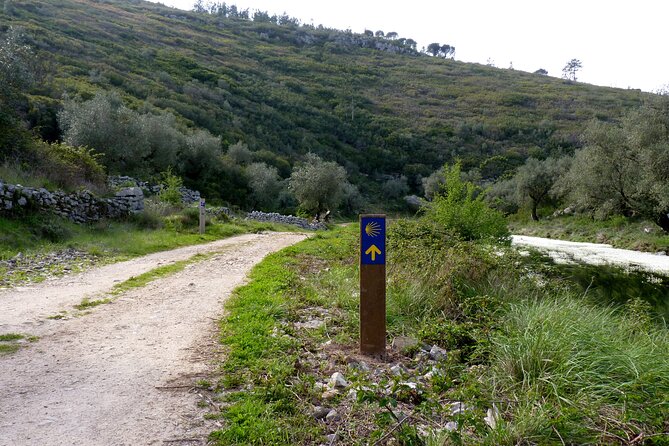 E-bike to Conimbriga Roman Ruins, from Coimbra - Bike Equipment and Comfort Considerations