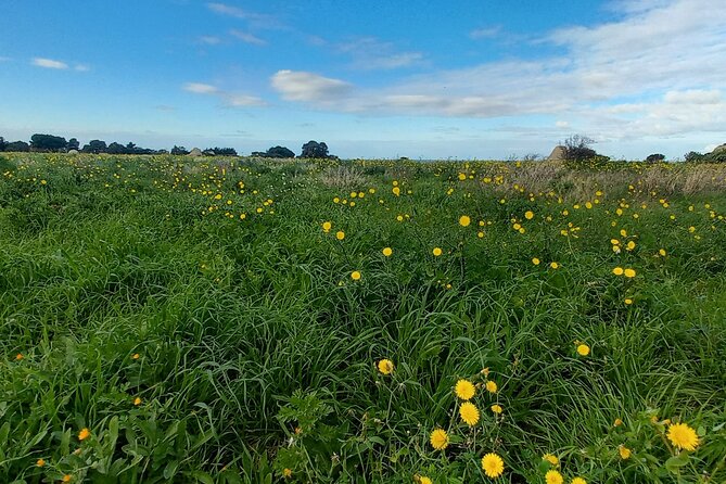 e-bike tour along the cycle path of the Apulian Aqueduct - Practical Aspects and Booking Information