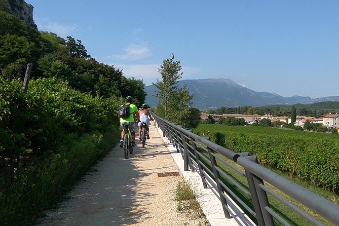 E-Bike Tour and Wine Tasting from Bardolino - Scenic Bike Path in Bardolino Along Lake Gardas Shore