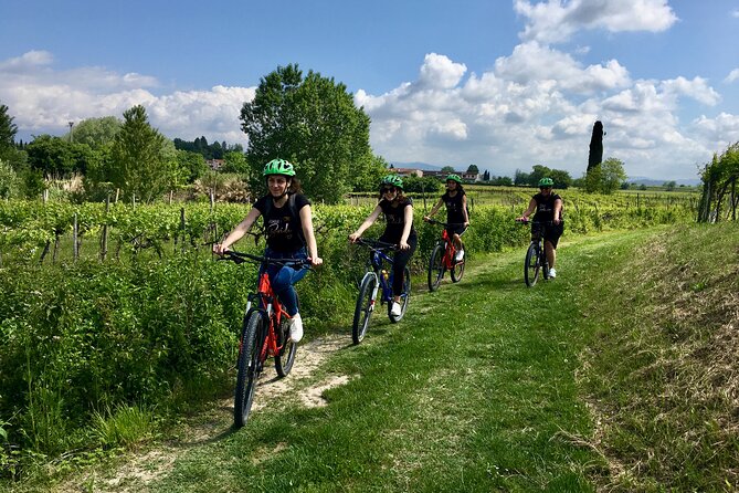 E-Bike Tour and wine tasting in Lazise Countryside - Key Points