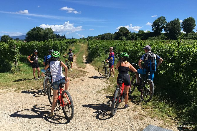 E-Bike Tour and Wine Tasting in Lazise - The Guide’s Role and Group Dynamics