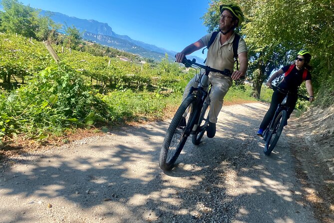 E-Bike tour and Wine tasting in the Austrian Fort from Pastrengo - Scenic Cycling through the Lake Garda Hinterland