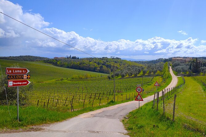 E-Bike Tour: Explore the Chianti, its Enogastronomy and Castles - Wine Tasting at Barone Ricasoli