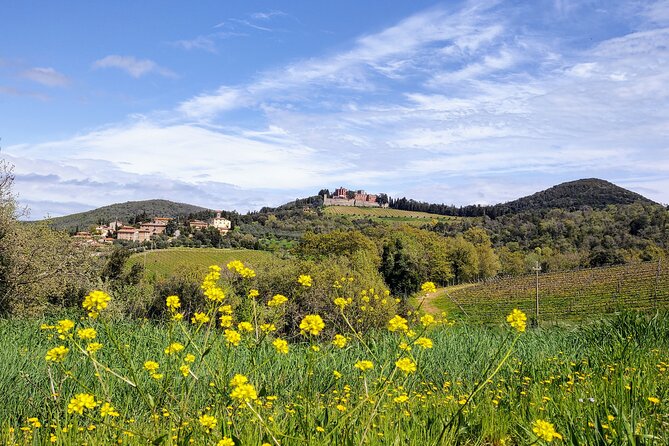 E-Bike Tour: Explore the Chianti, its Enogastronomy and Castles - Refreshments at Agribar Brolio